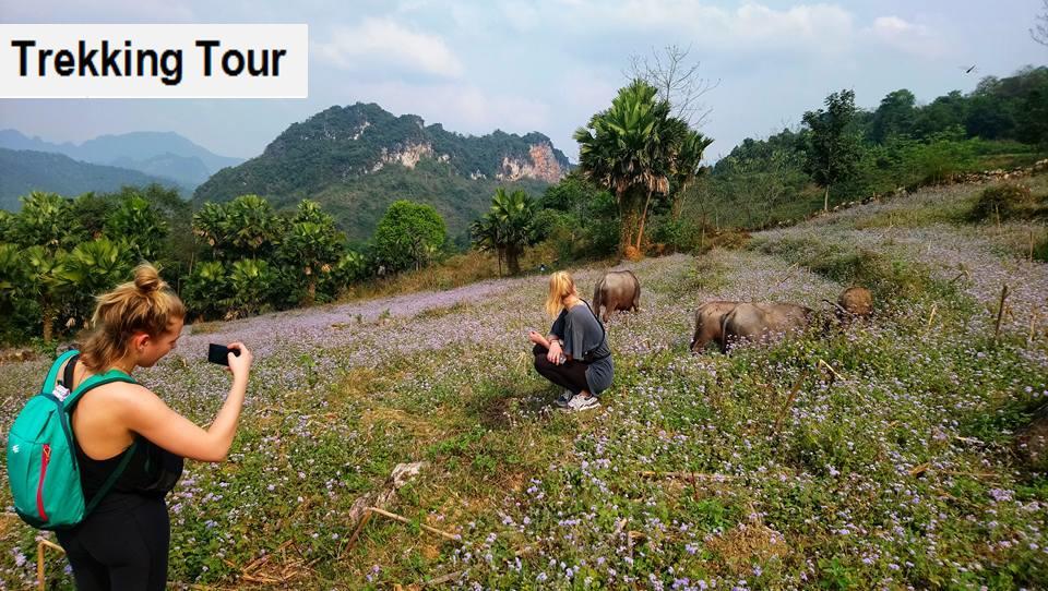 Ha Giang Amazing Hostel Extérieur photo